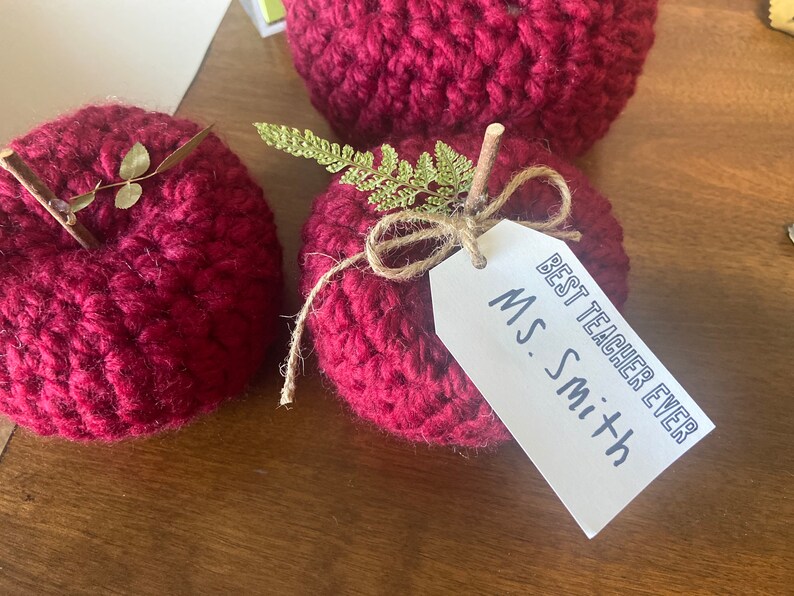 Teacher Appreciation Gift, Farmhouse Crochet Apple, Crochet Apple, Back to School Teacher Gift image 5