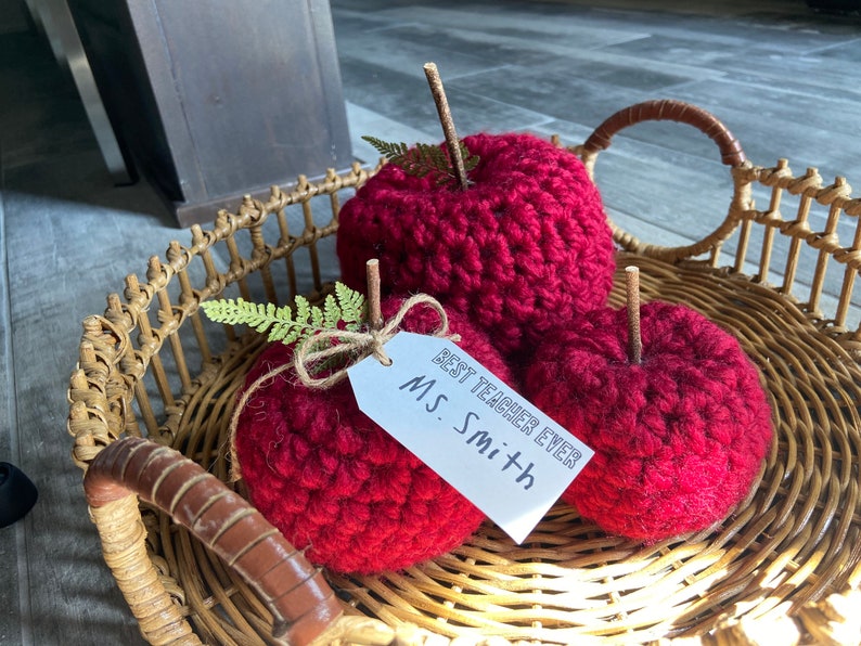 Teacher Appreciation Gift, Farmhouse Crochet Apple, Crochet Apple, Back to School Teacher Gift image 6