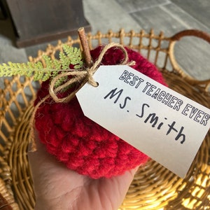 Teacher Appreciation Gift, Farmhouse Crochet Apple, Crochet Apple, Back to School Teacher Gift image 4