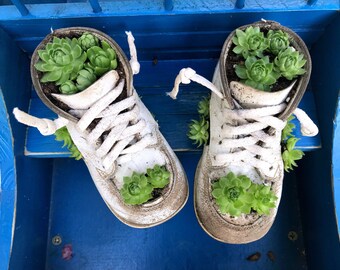 Botanical decor | Etsy