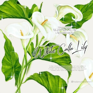 Calla lily watercolor floral clipart, bridal shower invitation, wedding watercolor, flower clipart, wedding shower, digital download bouquet