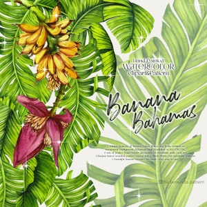 Clipart floral d’aquarelle de banane, clipart de verdure d’aquarelle, aquarelle de mariage, clipart de fleur, douche de mariage, bouquet de téléchargement numérique