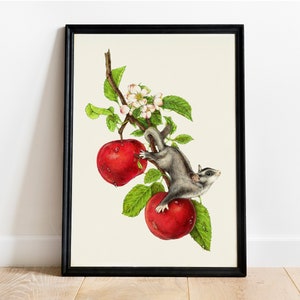 May include: A framed botanical print featuring a sugar glider perched on a branch with two red apples. The branch also displays green leaves and white blossoms. The print is set against a cream-colored background.