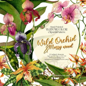 Orchidée, clipart aquarelle, clipart floral aquarelle, clipart fleuri, peinture florale, clipart aquarelle, plante orchidée, pot d’orchidée, PNG