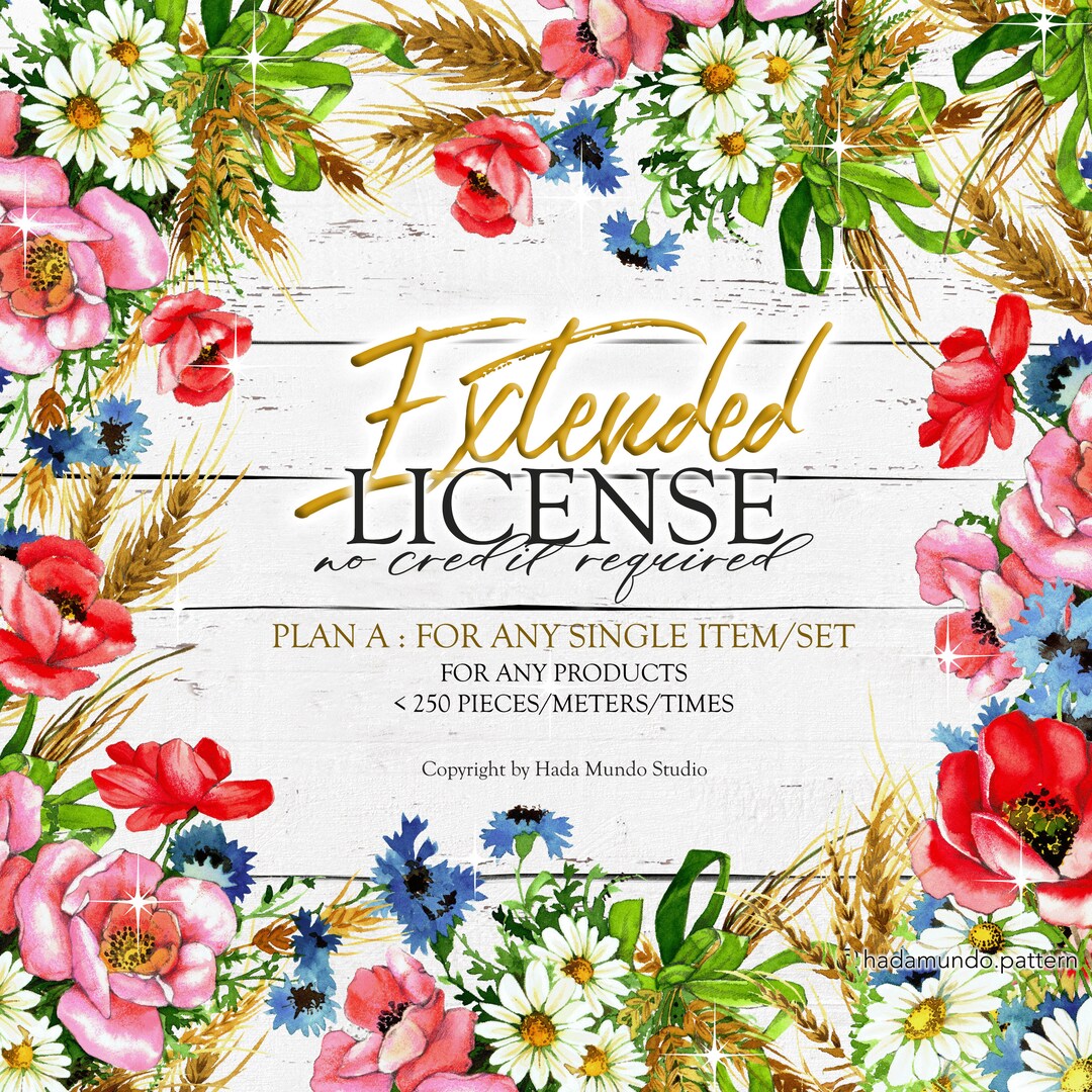 PLAN A : Extended License/commercial License for Single Item (one ...