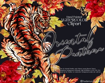 Watercolor Tiger Clipart, Chinese Peony Floral Design (PNG)