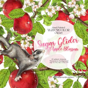 Sugar Glider, Possum, clipart floral em aquarela, impressões para download, download digital, clipart em aquarela, impressão em aquarela, clipart de maçã