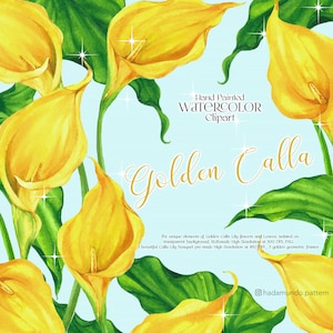 Peace Lily, Watercolor Calla Lily Clipart, bridal shower invitation, floral clipart, flower clipart, wedding shower, floral PNG downloadable
