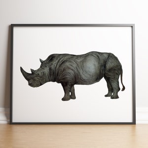 Rhino,  Rhinoceros, Wall hanging, Wall art, Wall decor, Wall print, Rhino print, Rhino clipart, Watercolor clipart, Digital download, JPG