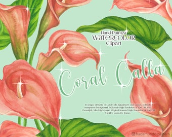 Op de afbeelding: Waterverf clipart van koraal calla lelies met groene bladeren. De afbeelding bevat 12 unieke elementen, een boeket en 3 gouden geometrische frames. Handgeschilderde waterverf clipart.