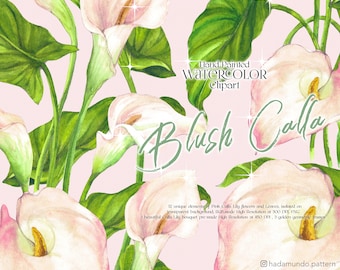 Op de afbeelding: Waterverf clipart van roze calla lelies met groene bladeren. De afbeelding bevat 12 unieke elementen van roze calla leliebloemen en bladeren, geïsoleerd op een transparante achtergrond. De bloemen zijn in een boeket gerangschikt.