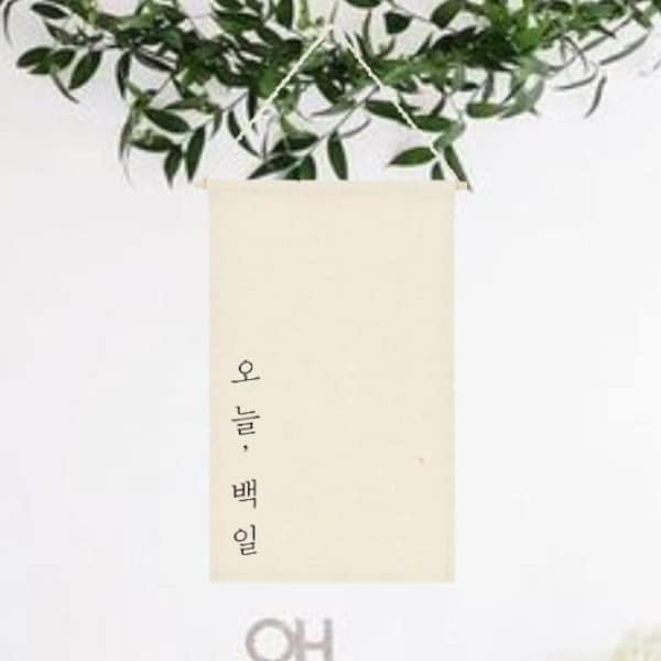 100 days Korean, Baekil, 백일, 100일 배너, Baekil party, 100th day, Korean 100th day, party banner, Baekil janchi, Baek il banner, Baek il table