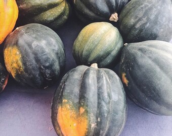 Acorn squash seeds