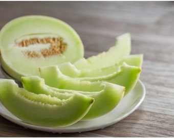 Honeydew Melon Seeds Green Flesh-20