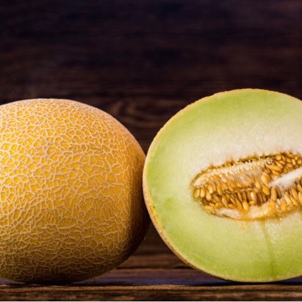 Galia melon seeds-20