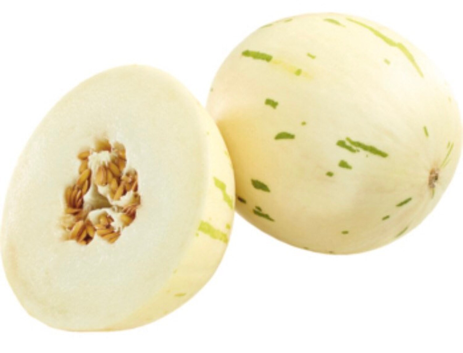 Dino Melon Seeds 20 Etsy