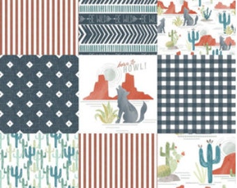 Minky Western Baby Blanket, Cactus Crib Blanket, Minky Lovey, Toddler Aztec Blanket, Arizona Baby Shower Gift, Plaid Blanket, Wild Baby Bed