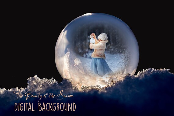 Snow Globe Digital Backdrop Digital Backdrop Winter | Etsy