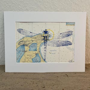 Sérigraphie sur carte nautique, maritime, carte, impression, libellule, mer Baltique, image, pièce unique