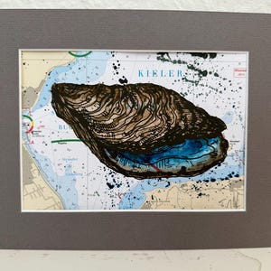 Sérigraphie aquarelle sur carte marine Auster Oyster Kiel Baltic Sea Maritime Art Picture Print