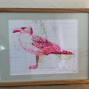 Siebdruck auf Seekarte, Maritim, Original, Druck, Möve, Seevogel, Landkarte