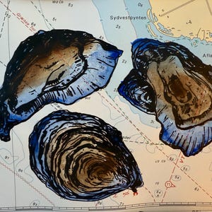 Sérigraphie aquarelle sur carte marine Oyster Oyster Shell Maritime Baltique Mer du Nord impression Art