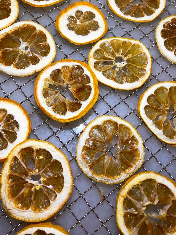 Dried Lemon Slices Bar Garnishes Dehydrated Citrus Fruit Etsy
