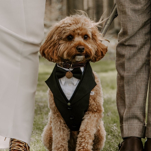 Ready to Ship - Black Dog Suit, Dog Wedding Attire ,Dog Ring Bearer , Dog Tuxedo, Dog Suit Harness, Wedding Dog Harness, Suit For Dog