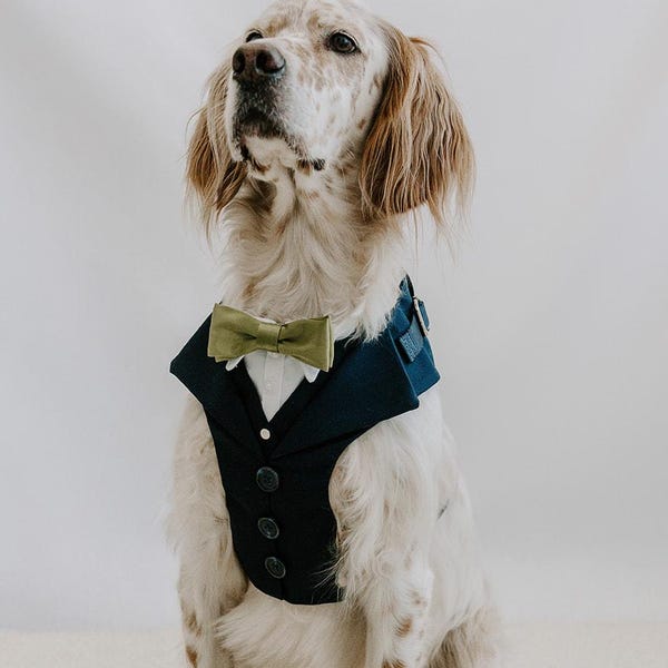Conjunto para cães Midnight Navy com coleira e porta-alianças.
