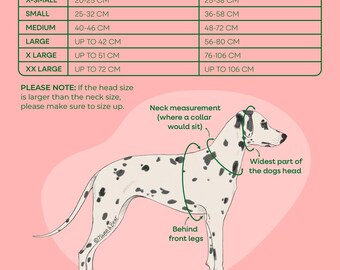 Black Dog Suit Harness: Wedding Ring Bearer Attire