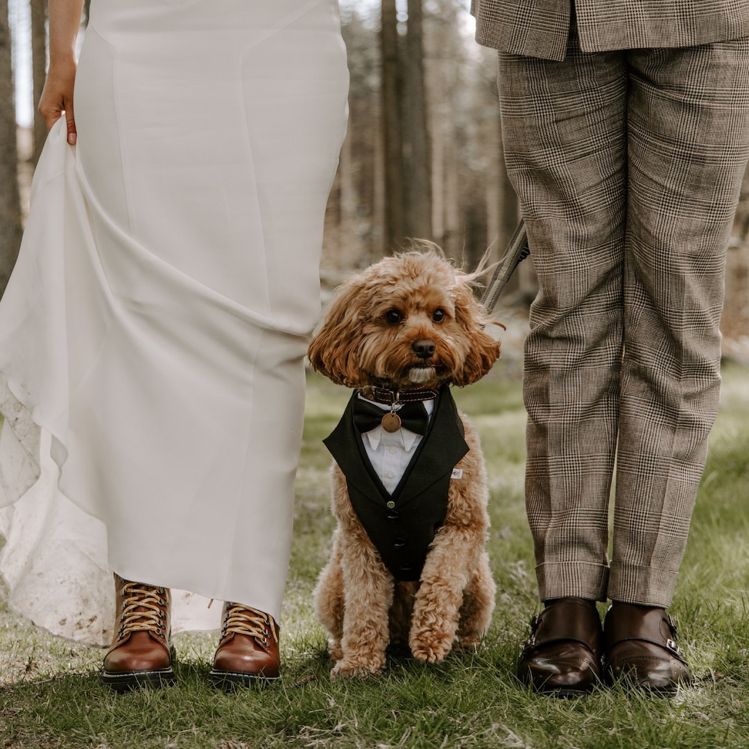 Wedding Ring Bearer Pouch For Dogs + Tuxedo Bow Tie