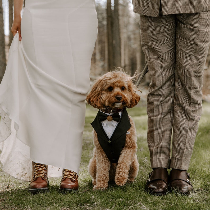 Ready to Ship Black Dog Suit, Dog Wedding Attire ,Dog Ring Bearer , Dog Tuxedo, Dog Suit Harness, Wedding Dog Harness, Suit For Dog image 1