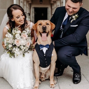 Navy Dog Suit, Dog Wedding Attire ,Dog Ring Bearer , Dog Tuxedo, Dog Suit Harness, Wedding Dog Harness, Suit For Dog, Ready to ship