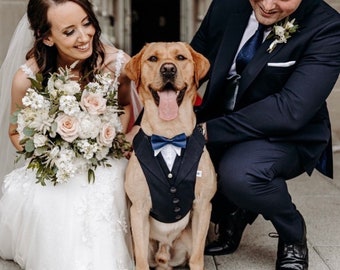 Versandfertig - Marineblauer Hundeanzug, Hochzeitskleidung für Hunde, Ringträger für Hunde, Smoking für Hunde, Hundeanzuggeschirr, Hochzeitsgeschirr für Hunde, Anzug für Hunde