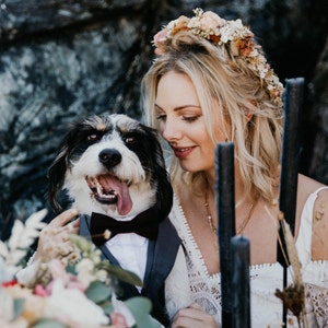 Grey Dog Suit Harness: Wedding Attire, Ring Bearer, Ready to ship