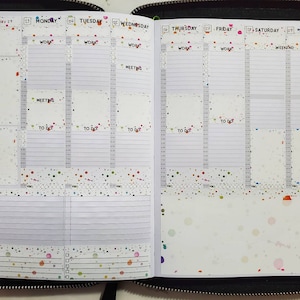 Passion Planner Wochenplaner- Rainbow Splatters