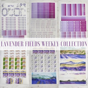 Lavender Fields Weekly Collection