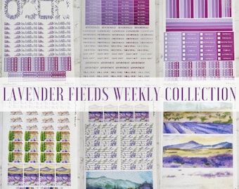 Lavender Fields Weekly Collection