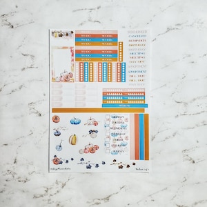 Passion Planner Weekly Kit- Mooie kleine pompoenen