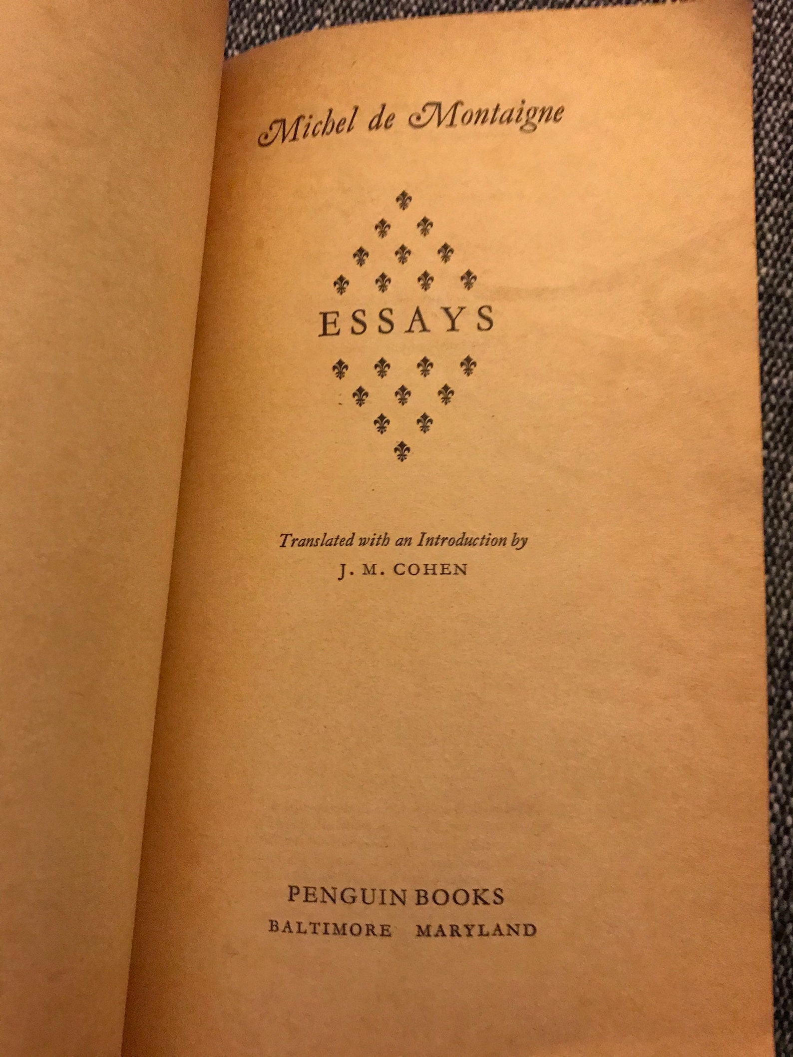 Penguin essays picture