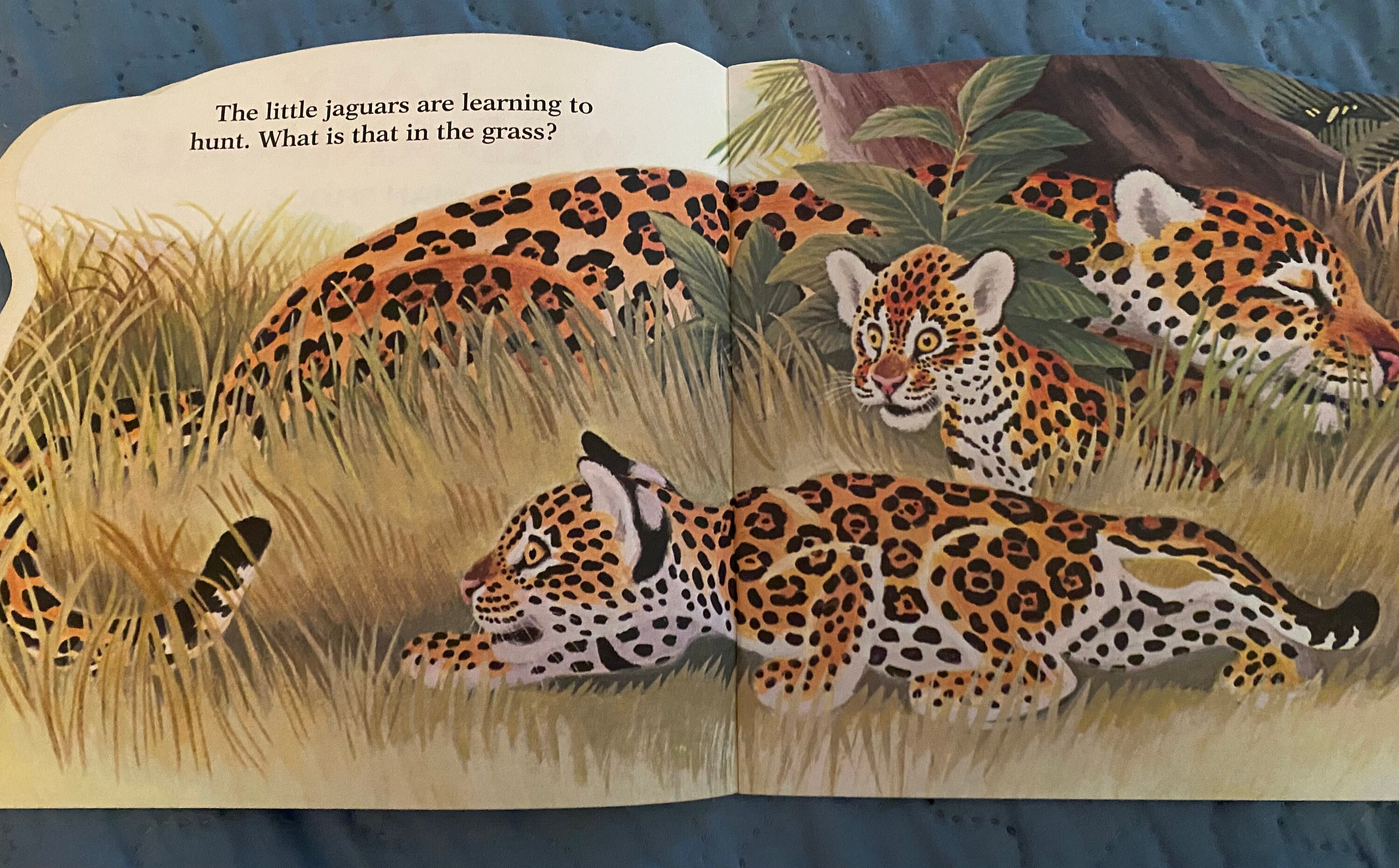 Baby Wild Animals Golden Book 1997 Etsy