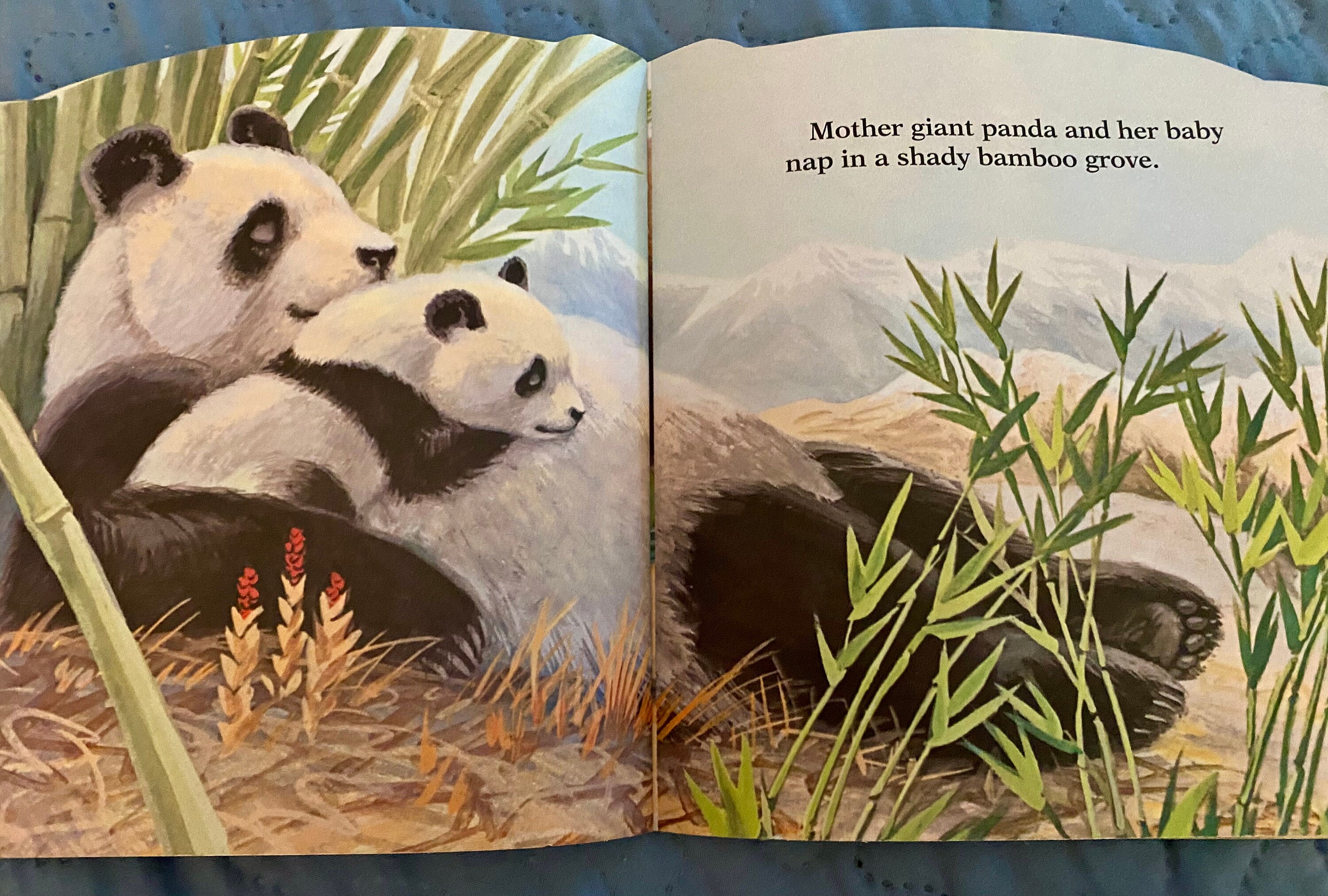 Baby Wild Animals Golden Book 1997 Etsy