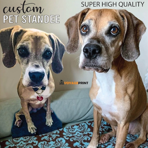 Custom Full Body Pet Cut outs Super High Quality Realistic Dogs, Cats, Goats, Chickens, You name it