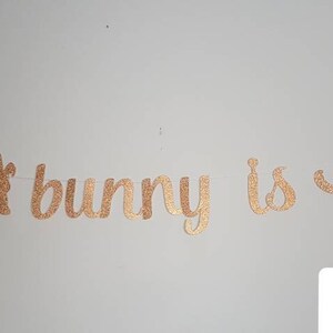 May include: Rose gold glitter banner that reads "Some bunny is one".