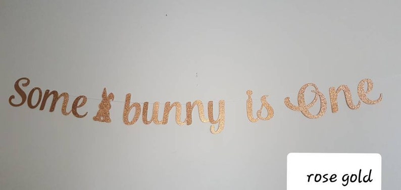 May include: Rose gold glitter banner that reads "Some bunny is one".