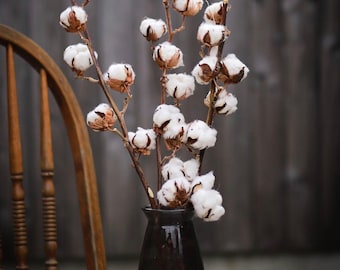 Dried Cotton Stems/ Gossypium /Katoen/ Fluffy Cotton /Natural Dried Flower/ Home Decorations Flower/ Home Gift Christmas/ Housewarming Gift