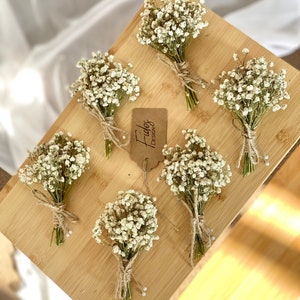 Set Of 3/5/10 Baby's Breath Buttonhole/Babies Breath boutonniere/Dried Gypsophila/Wedding Flower/Gift for Groomsmen/Natural Dried Flower