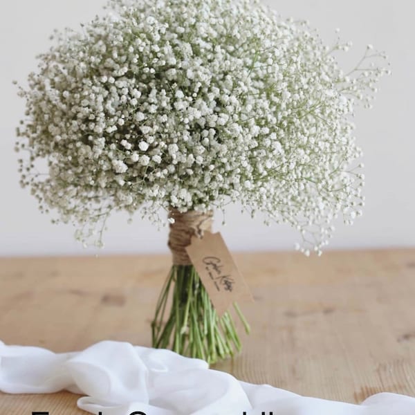 Dried Gypsophila bouquet/Baby's Breath bouquet/Dried Wedding Flowers/ Floral Headpieces//Boutonniere/Baby's Breath Bridesmaids Bouquet