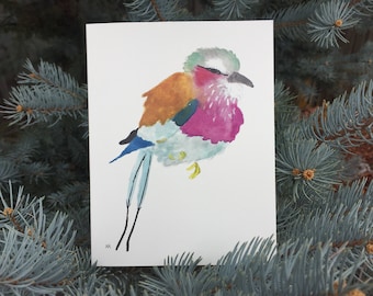 Lilac Breasted Roller Foldover (8 pack)