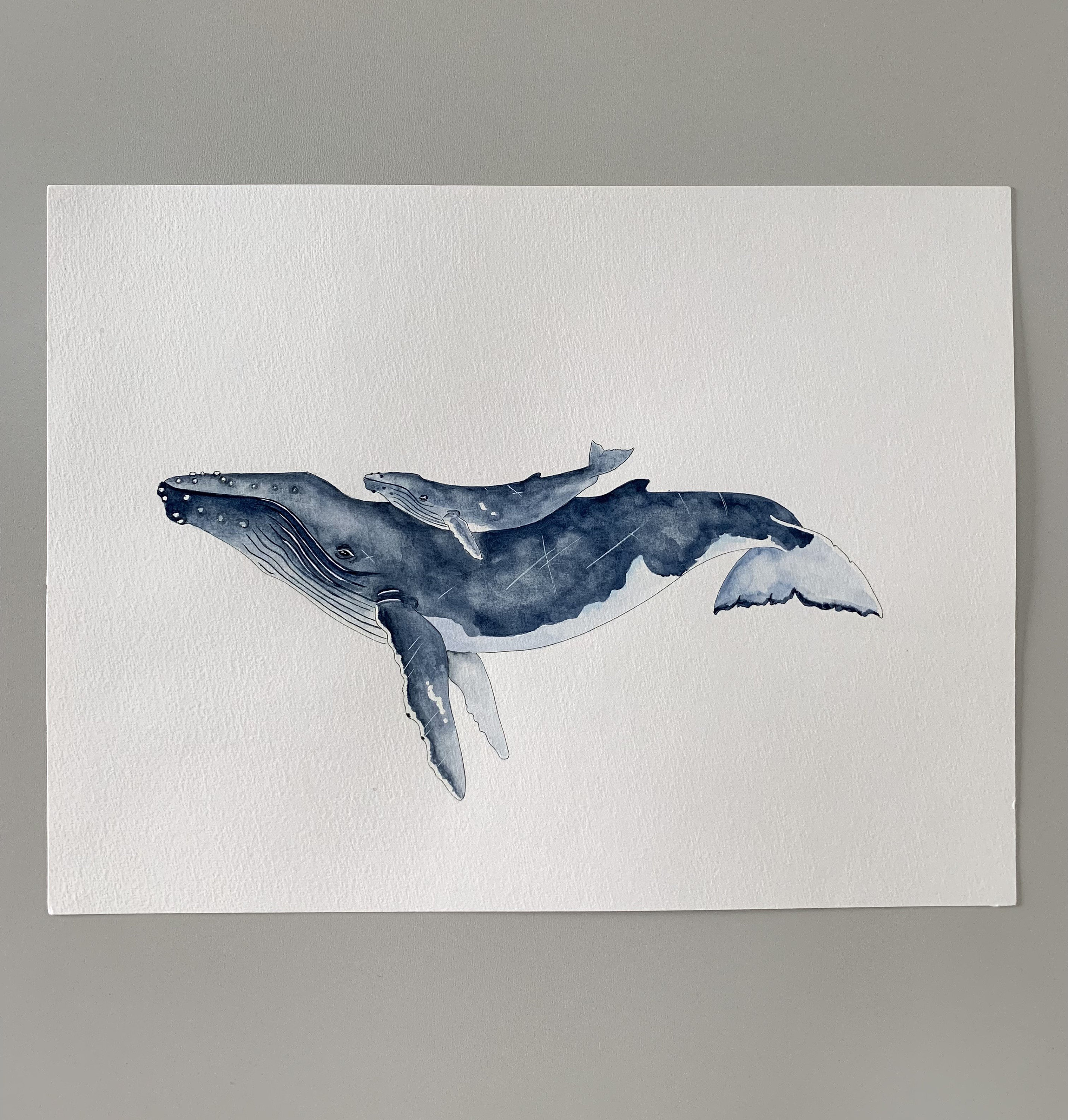 Blue Whale Art - Etsy
